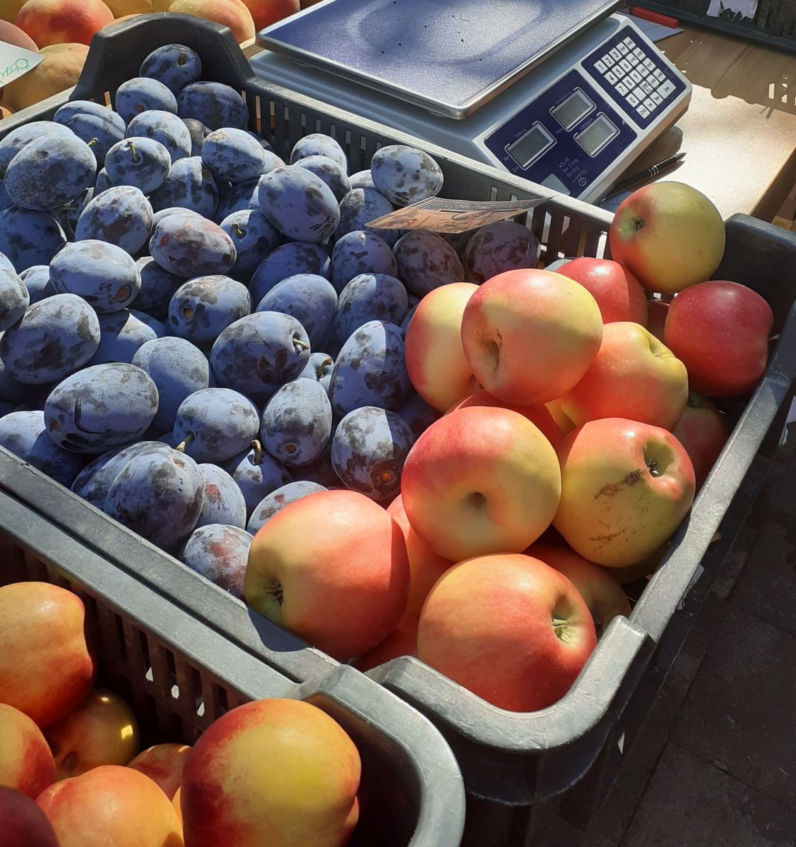 FARM MARKET és JUNIOR FARM MARKET mindszenti termelői kispiac 2021. október 30.