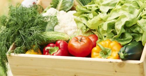 Farm Market és Junior Farm Market programsorozat Kiskőrösön
